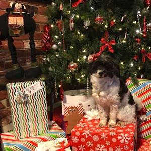 Meet your Posher, Marlene